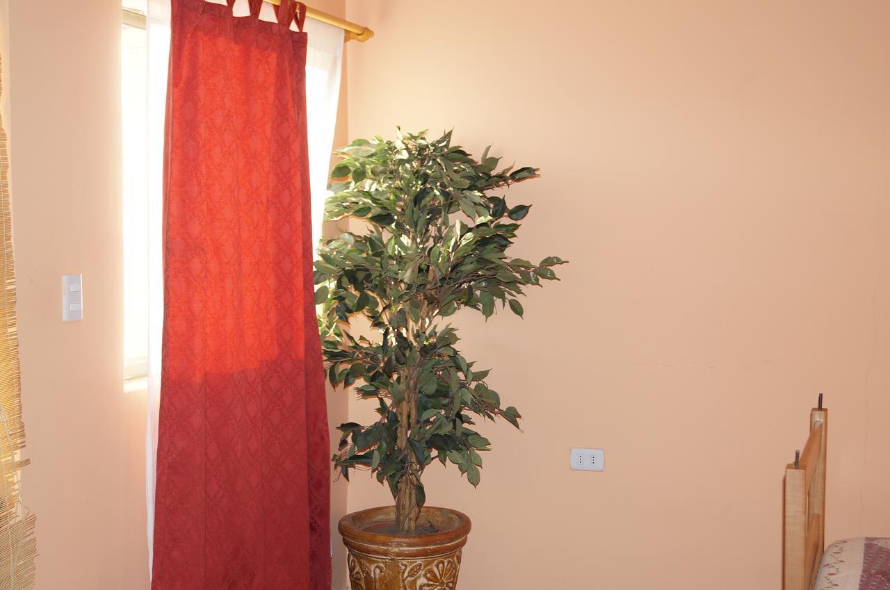 Hostal Intipara 圣佩德罗·德·阿塔卡马 外观 照片